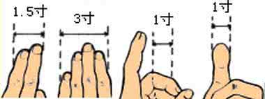 如何养肾补肾 补肾养肾-返老还童