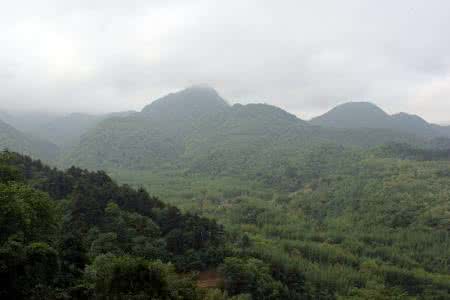 甘肃天水麦积山景区 【甘肃】麦积山的呼唤