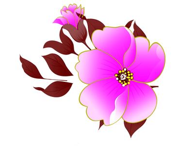 花朵图片 花朵