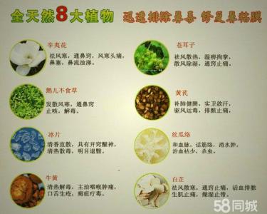 五味石膏汤治鼻窦炎 鼻炎膏治疗鼻炎、鼻窦炎的临床观察