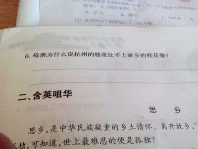 我的选择作文600字 我的选择——放弃作文350字