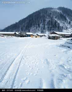 冬天穿比基尼躺在雪地 冬天雪地上有什么东西？