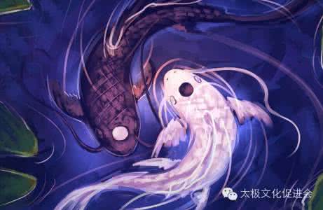 阴阳鱼太极图 阴阳鱼太极图有何蕴意?