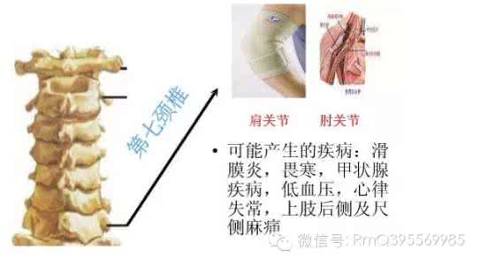 农村常见野草名称图片 颈椎疼起来像针扎?农村常见野草是颈椎克星，让你脖子似“陀螺”