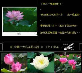 中国十大名花 【转载】十大名花古诗