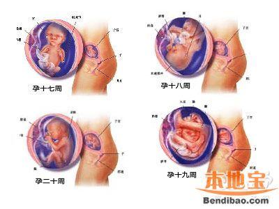 打胎的危害有多大 怀孕五个月打胎对身体危害有多大