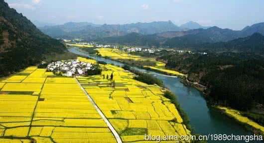 中国四大油菜花观景地 中国最佳“油菜花海”观景地