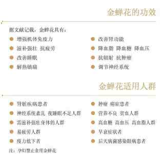 金蝉花泡酒的功效 金蝉花泡酒有什么功效 金蝉花泡酒功效与作用是什么呢