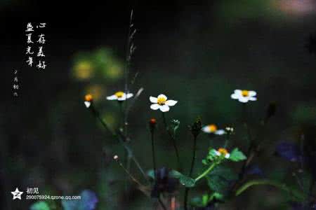 心存美好的经典语句 心存美好