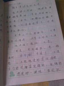 中考作文开头结尾 中考作文开头取胜原则作文1500字