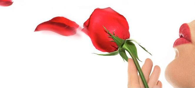 女人脚跟疼是肾不好吗 女人，好好疼自己