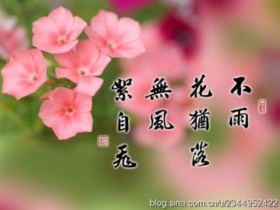 珍惜你已习惯的那个人