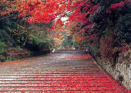 北京香山灵异事件 北京香山