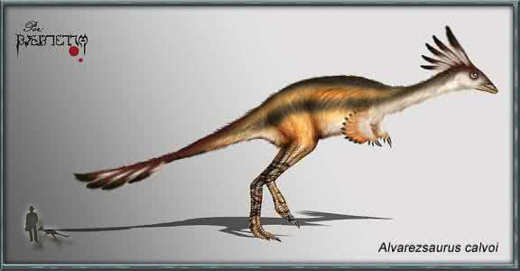 泥潭龙 阿瓦拉慈龙