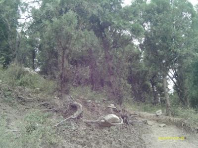 泉州北山院子 挽北山子何子三首