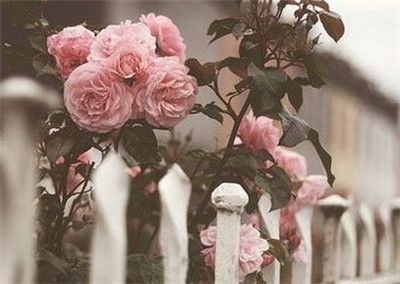 形容凉爽的成语 零落语,三分凉