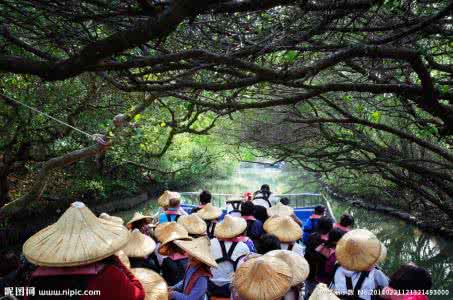 旅游加婚纱摄影 观光摄影