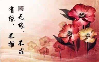 尽心无憾 努力无悔,尽心无憾