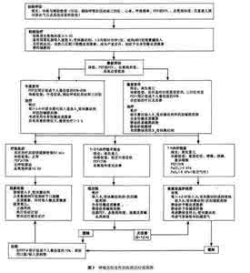 支气管哮喘发病机制 儿童支气管哮喘患病情况调查与发病因素分析