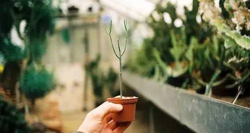 有一种感情不是爱情 只拥有开始的感情不是爱情，经受时间考验，有始有终的才是爱情！