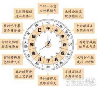 生物钟规律 生物钟——经络运行有规律