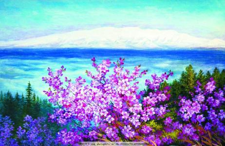 待到山花烂漫处 3月,相遇在春野山花烂漫处