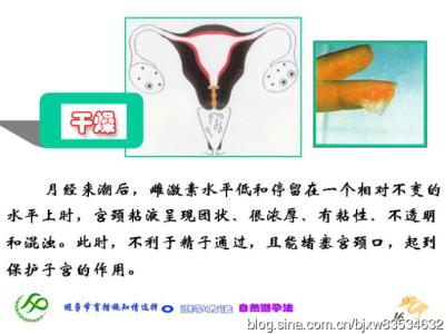 安全期避孕的方法 安全期避孕的方法 避孕方法的追溯