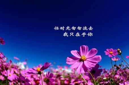 一句话唯美爱情箴言 爱情箴言美图