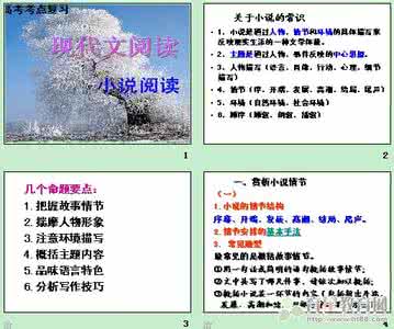 高考小说阅读专题复习