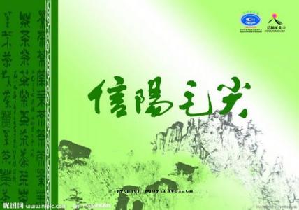 信阳毛尖茶叶简介 信阳毛尖简介 信阳毛尖简介