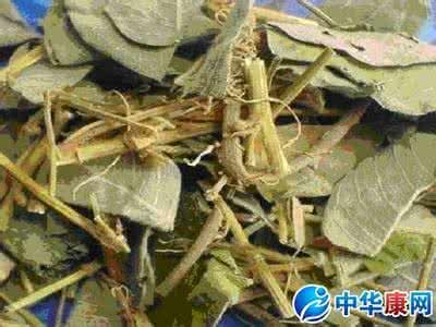 金钱草的食用方法 金钱草食用方法 中药金钱草的食用方法
