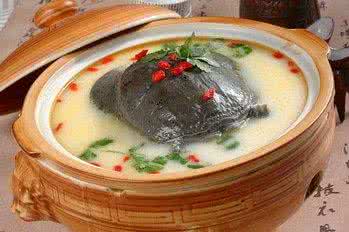 孕妇可以吃甲鱼吗 孕妇初期可以吃甲鱼吗 孕妇可以甲鱼吗