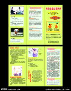 心脑血管疾病的治疗 心脑血管疾病治疗系列文集·二十册