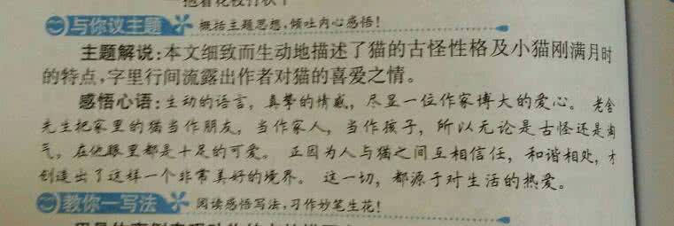 老舍写的文章 老舍：写文章是很快活的事情