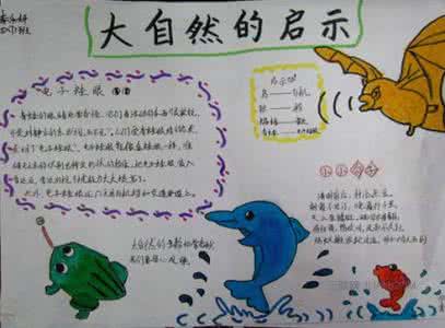 大自然的启示内容资料 大自然的启示手抄报内容