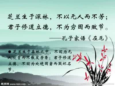 名言警句 关于女人一生幸福的名言警句,不得不承认,我很佩服苏岑!