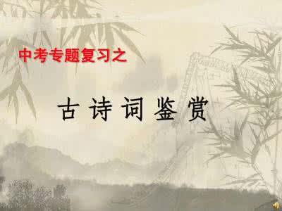 初中语文古诗词赏析练习
