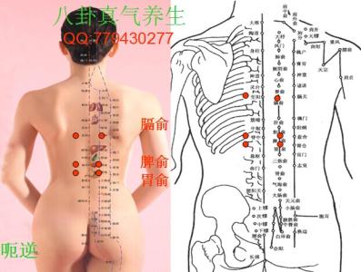 张仲景单方一味治大病 小单方治大病--治疗呃逆