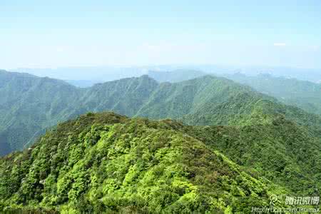 木林子自然保护区 木林子自然保护区 这里有你 ---山林子 慧商 自然智慧诗