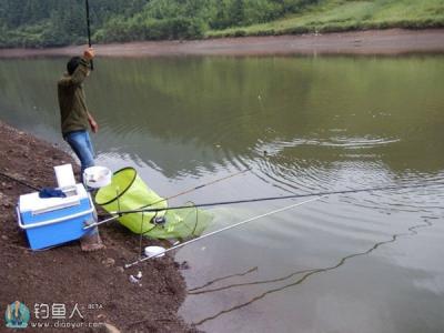 钓鱼逗鸟乐悠悠 逗钓钓鱼的经验技巧分享