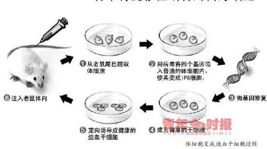 神经元名词解释 科学家解释口渴与神经元联系