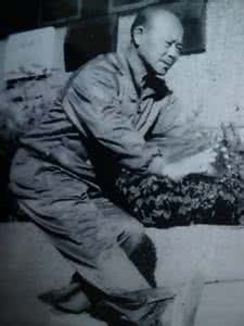 八极拳齐德昭 八极拳——齐德昭