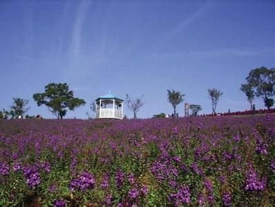 台湾9天8晚自由行攻略 【台湾自由行7天6晚8个县市，只花3009块人民币】