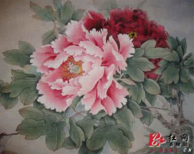 牡丹设计图 牡丹美术作品图片 牡丹设计图