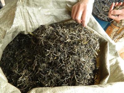 普洱茶制作工艺 普洱茶专家带你探秘普洱茶制作工艺