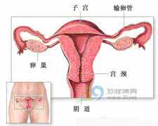 阴道出血原因 阴道出血的常见原因是什么？