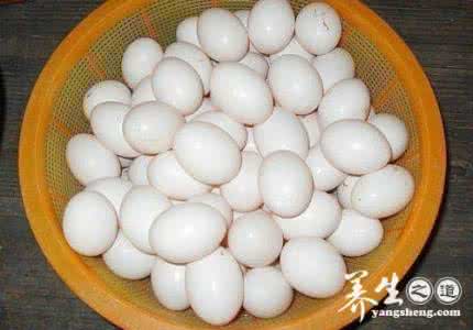 鸽蛋怎么吃才有营养 鸽蛋的营养价值