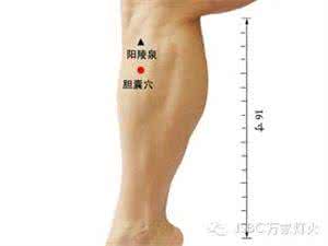 胆囊摘除好不好 你的胆囊好不好，一个动作就知道！
