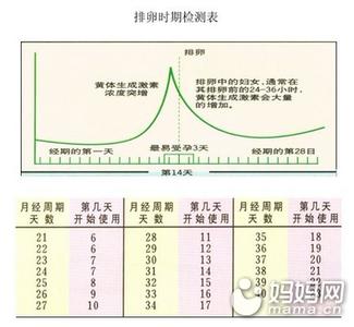 备孕排卵期 备孕期如何测排卵期