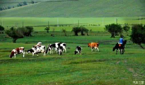 君乐宝优致牧场 君乐宝优致牧场 【亲子游】春来啦！相约君乐宝牧场，看奶牛去。约吗？